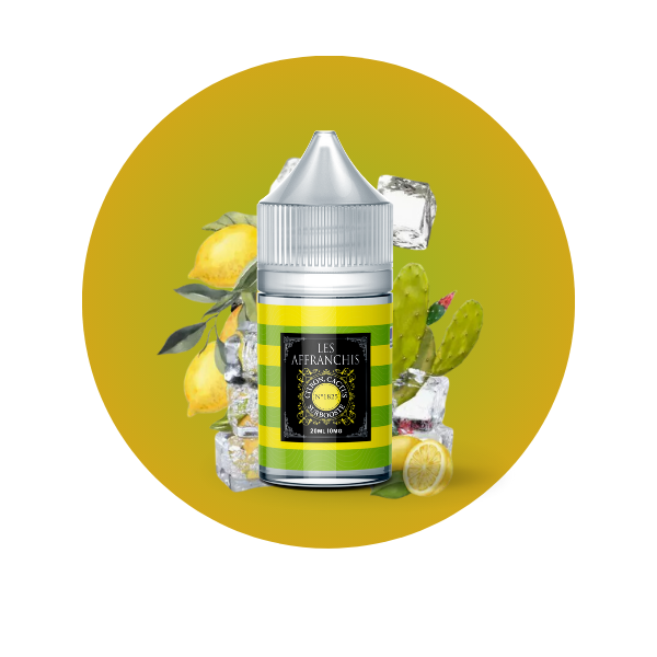 E-LIQUIDE CITRON CACTUS N°1825 (30 ml, 0 mg/ml, 50/50) - Photo 1